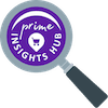 Prime Insights Hub